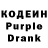 Кодеиновый сироп Lean Purple Drank Erin Thesystem