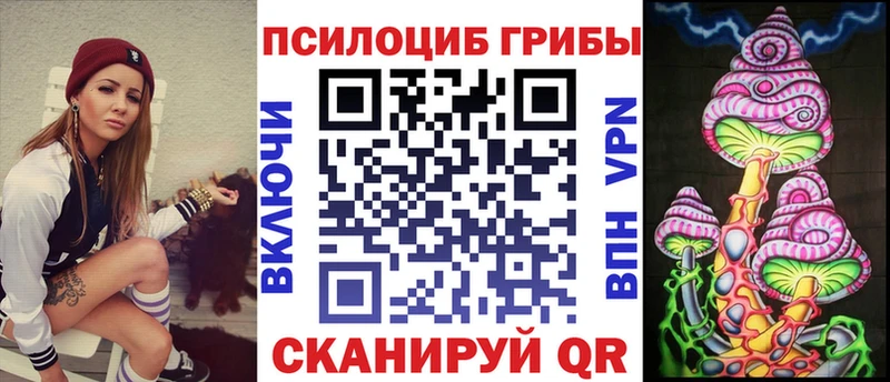 мега как войти  Муром  Псилоцибиновые грибы MAGIC MUSHROOMS  закладка 